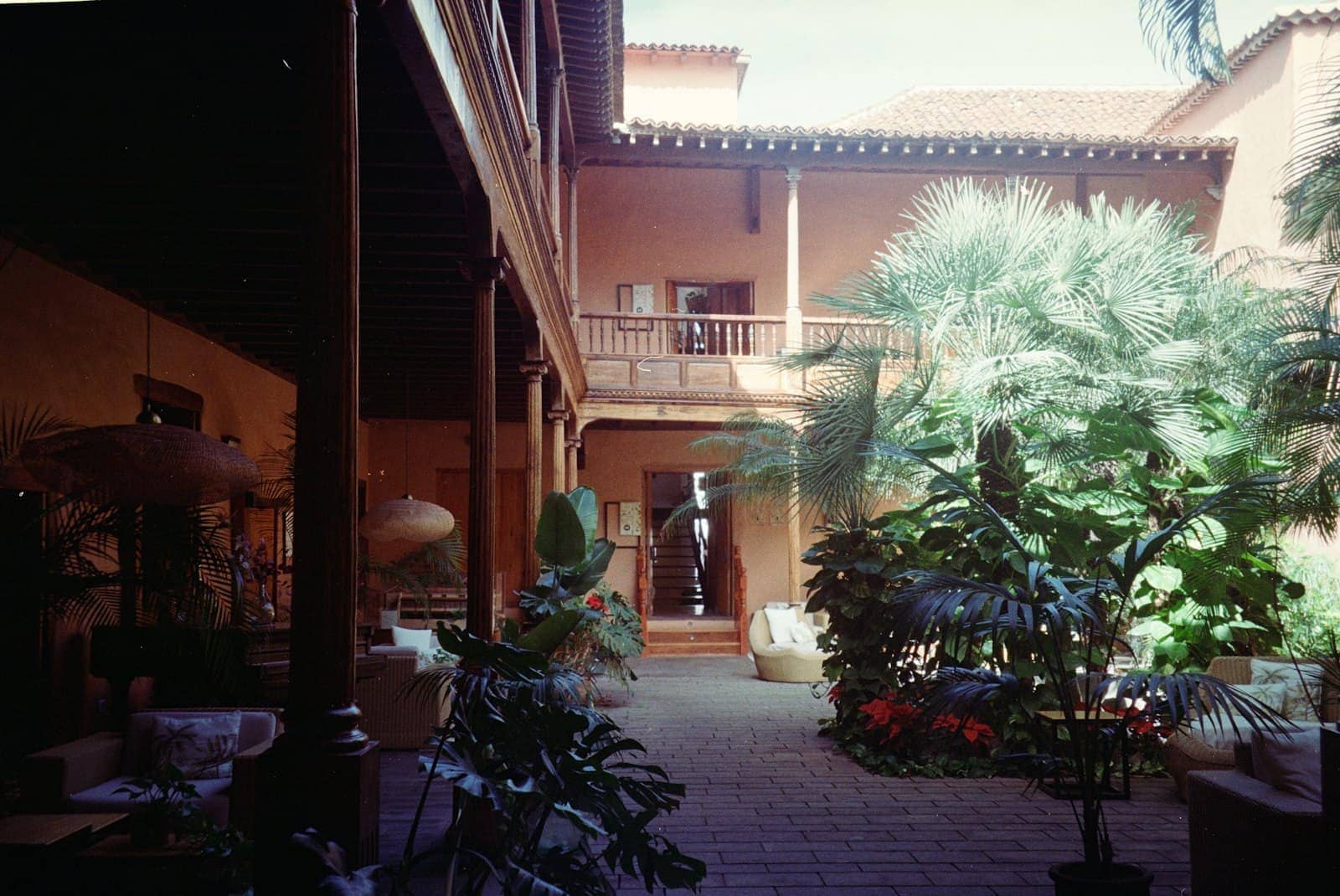 An open courtyard among plants (Reference image, not a CHAYP project)